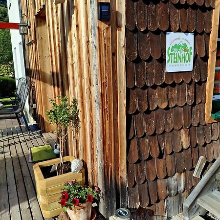Haus Steinhof Villa Sankt Lorenzen ob Murau Eksteriør bilde