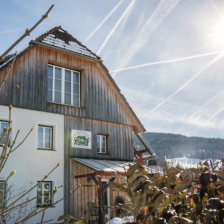 Haus Steinhof Villa Sankt Lorenzen ob Murau Eksteriør bilde