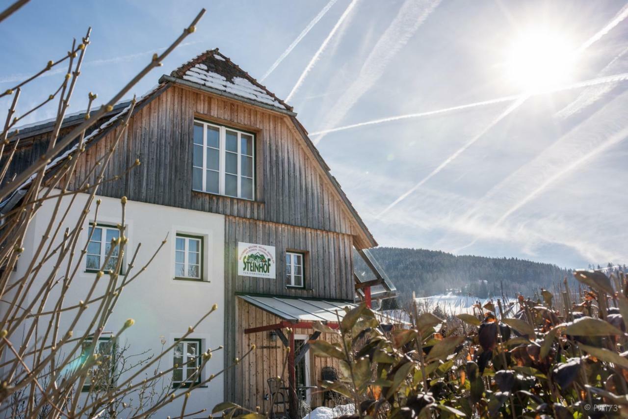 Haus Steinhof Villa Sankt Lorenzen ob Murau Eksteriør bilde