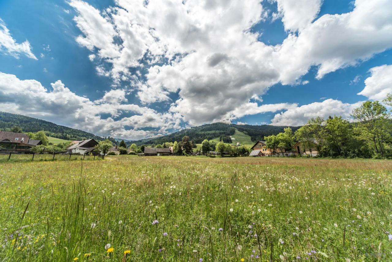 Haus Steinhof Villa Sankt Lorenzen ob Murau Eksteriør bilde