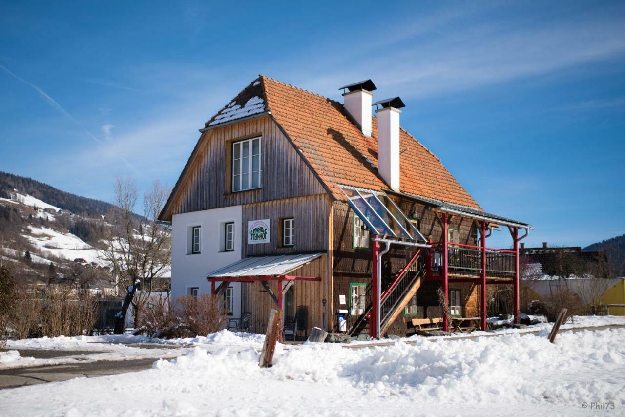 Haus Steinhof Villa Sankt Lorenzen ob Murau Eksteriør bilde